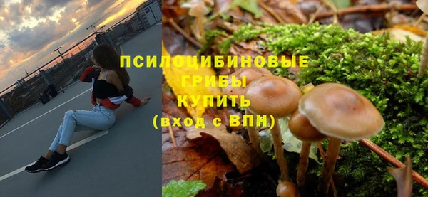 мдпв Богданович