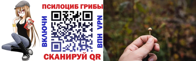 Галлюциногенные грибы Psilocybine cubensis  Бор 